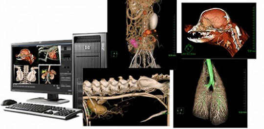 CT検査について
