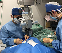 白内障手術