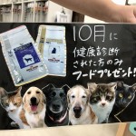 10月の健康診断キャンペーン