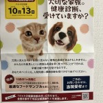 10月の健康診断キャンペーン